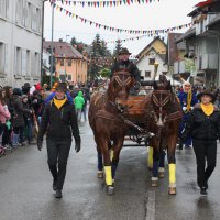 Umzug Schergässler